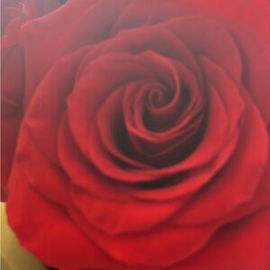 Meet your Posher, Ari